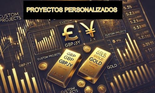 Proyectos Personalizados